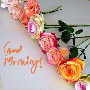 Meet your Posher, Aayush